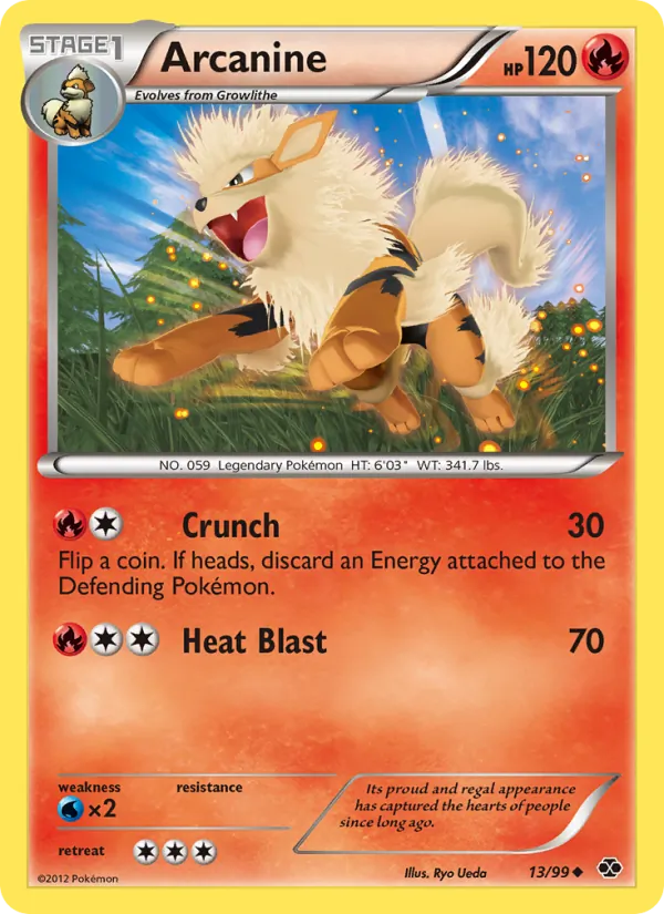 Arcanine (NXD 13)