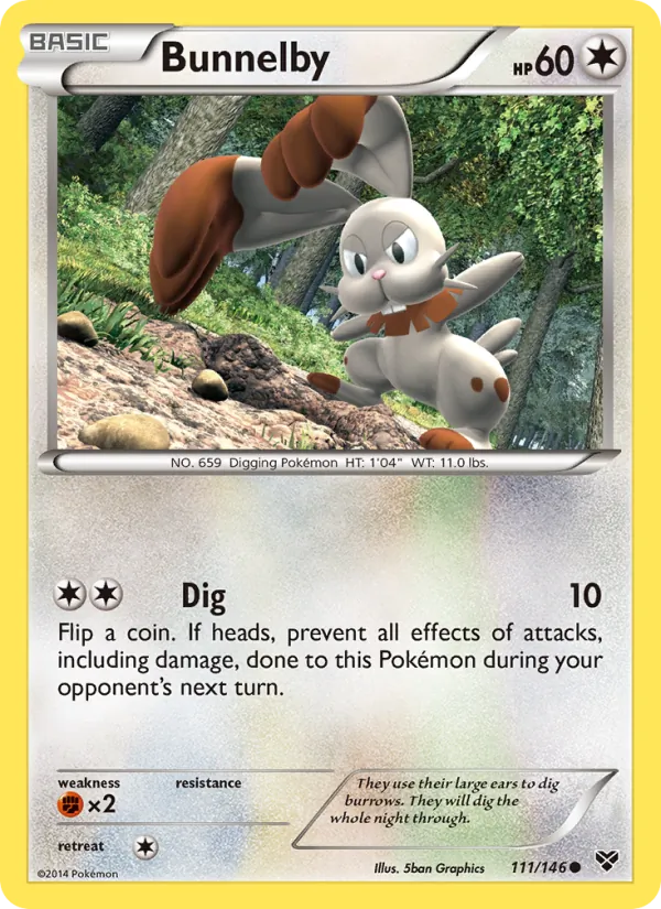 Bunnelby (XY 111)