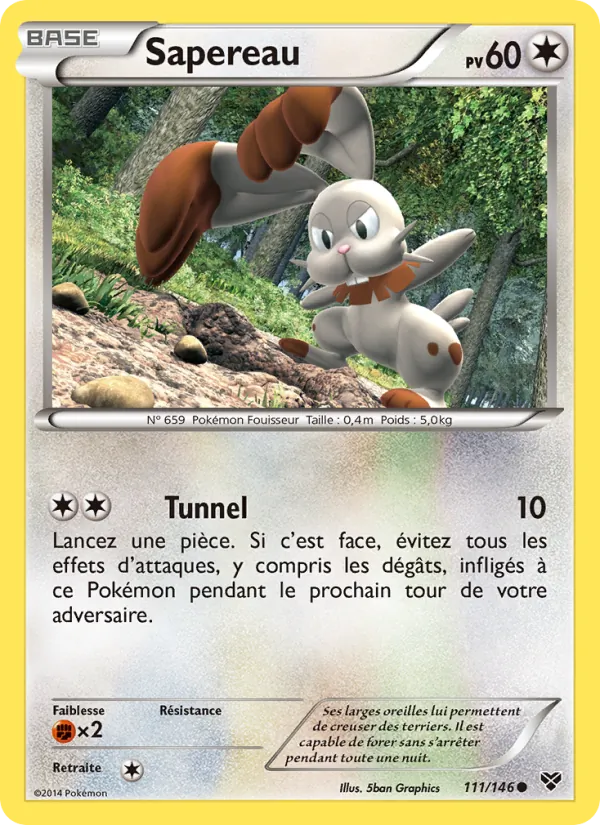 Bunnelby (XY 111)