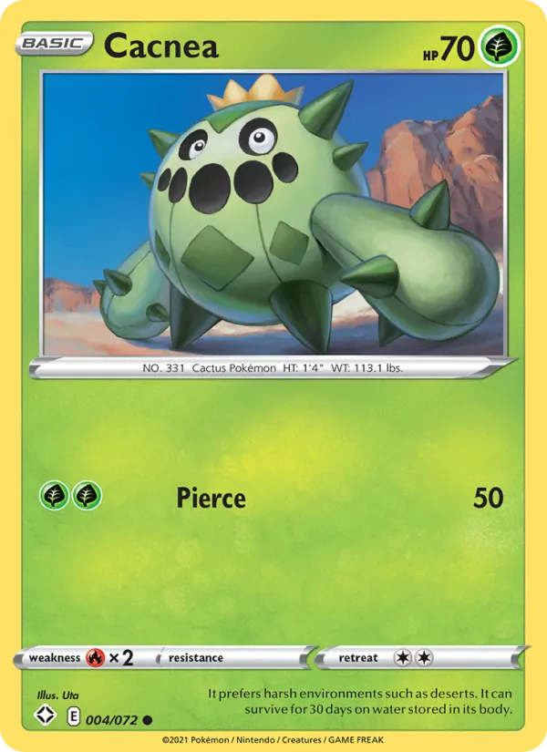 Cacnea (SHF 4)