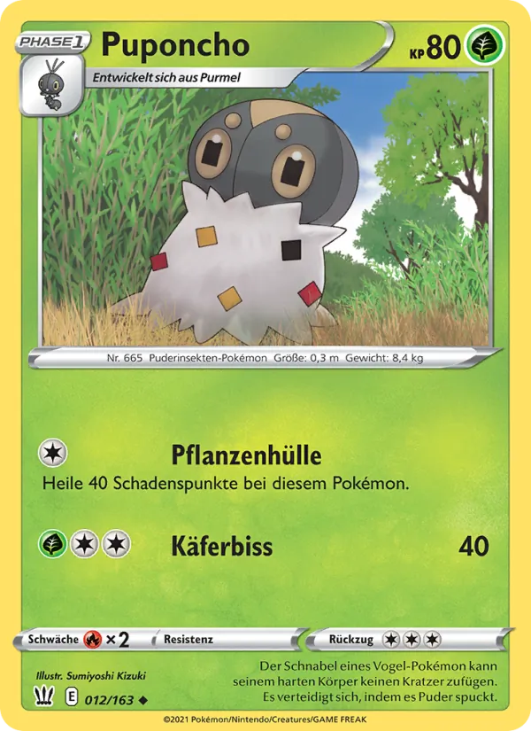 Puponcho (BST 12)