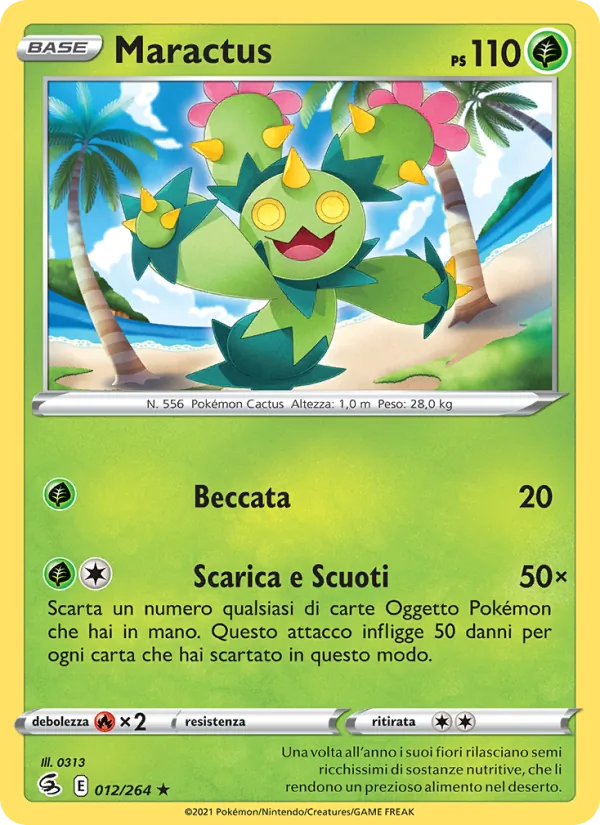 Maractus (FST 012)