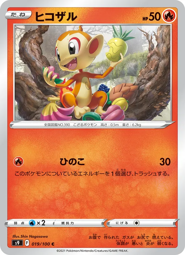 Chimchar (s9 019)
