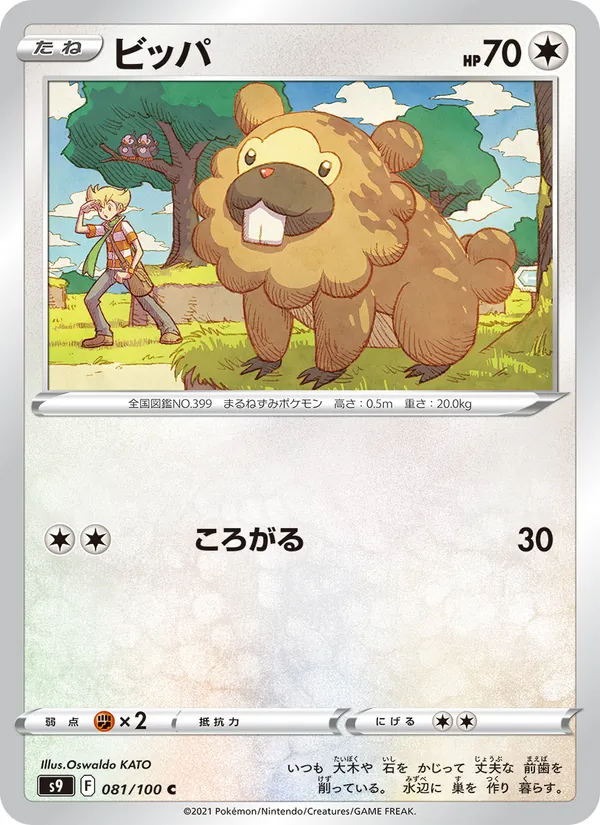 Bidoof (s9 081)