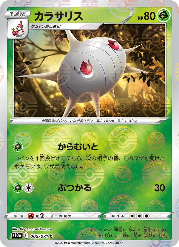 Silcoon (s10a 005)