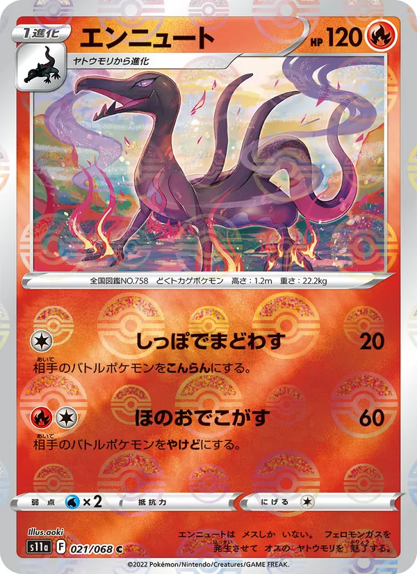 Amfira (s11a 021)