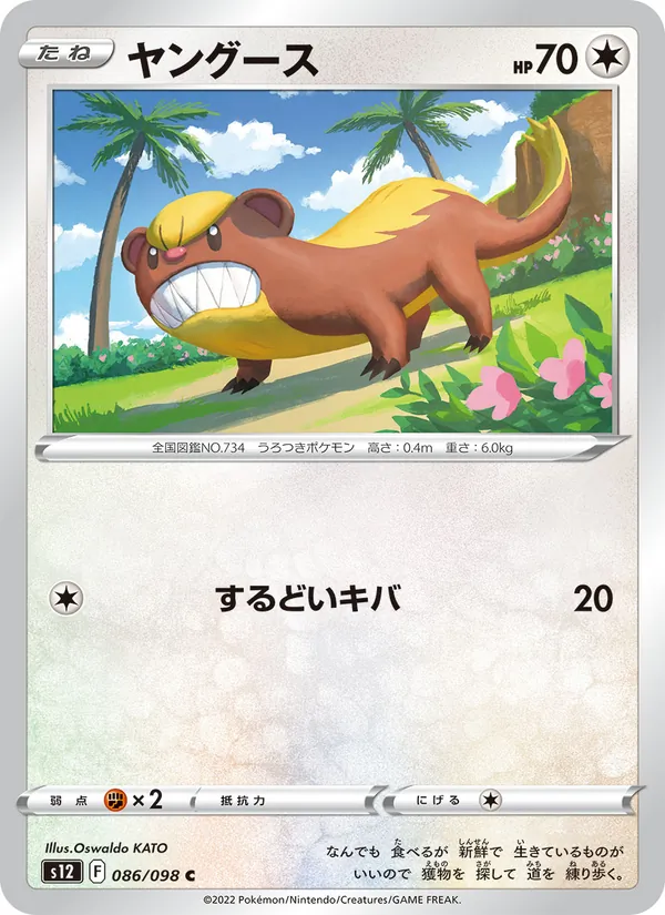 Yungoos (s12 086)