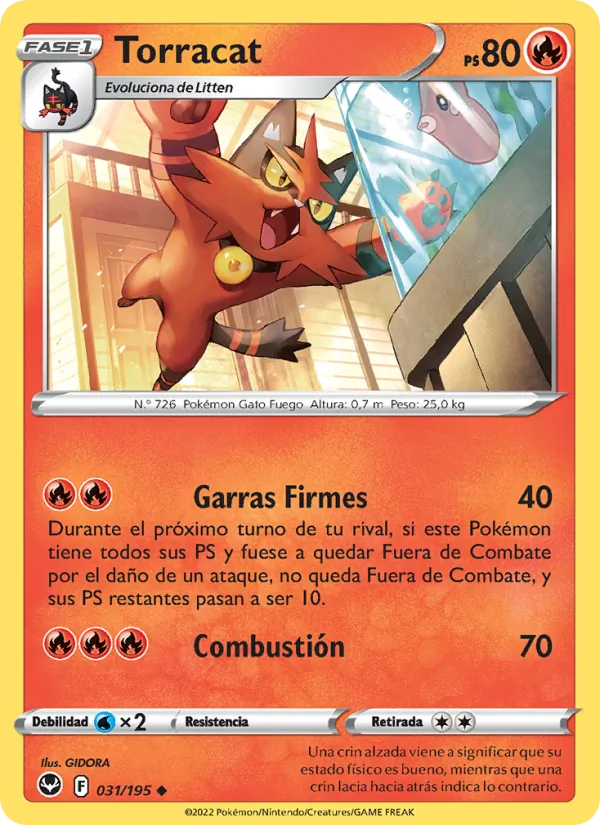 Torracat (SIT 031)