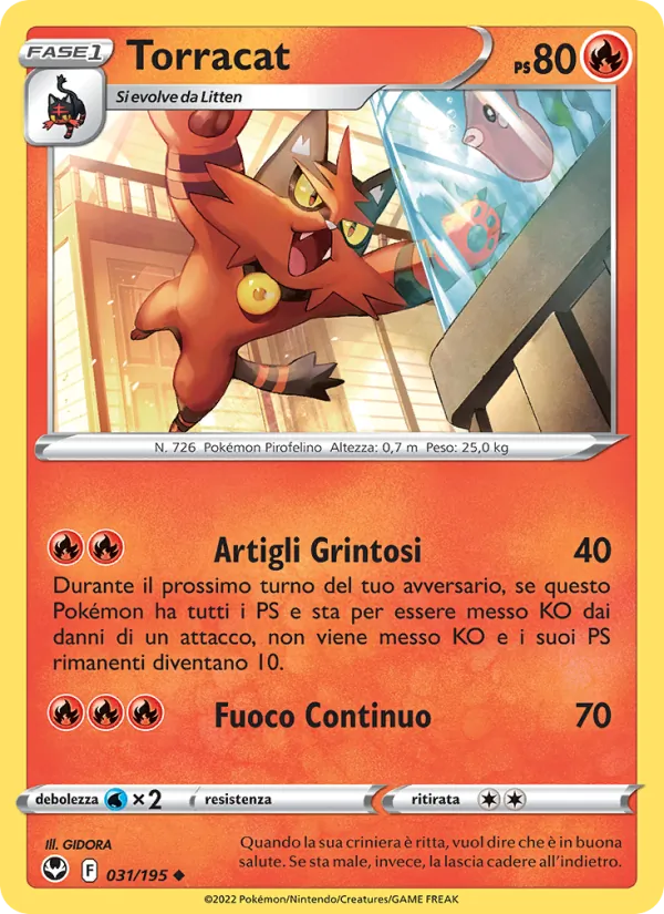 Torracat (SIT 031)