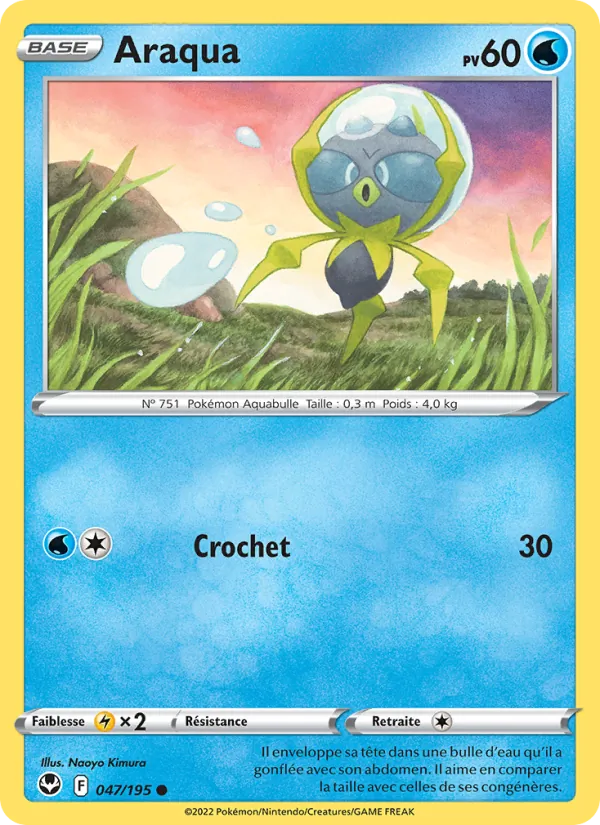Dewpider (SIT 047)