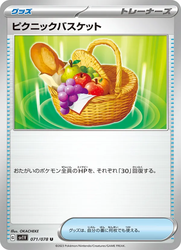 Picknickkorb (sv1V 071)
