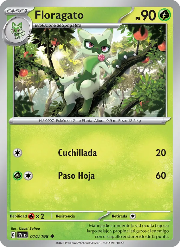 Floragato (SVI 014)