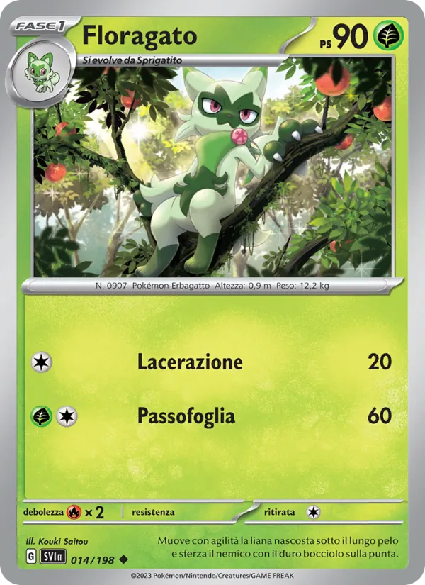 Floragato (SVI 014)