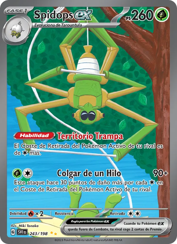 Spidops ex (SVI 243)