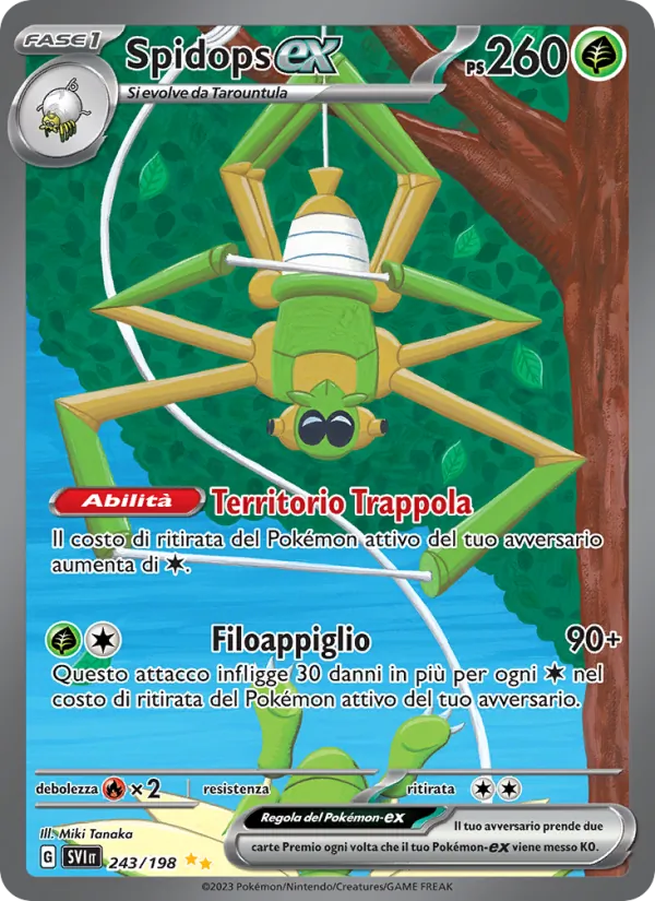 Spidops ex (SVI 243)