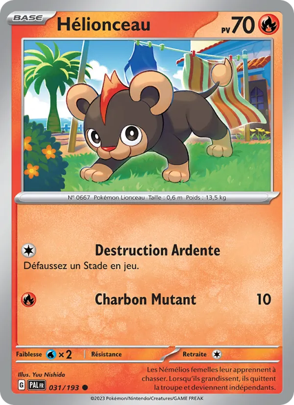 Litleo (PAL 031)