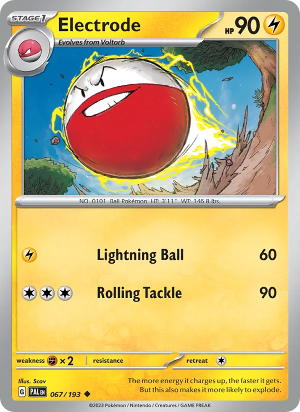 Electrode (PAL 067)
