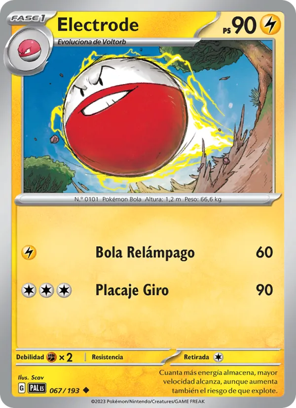 Electrode (PAL 067)