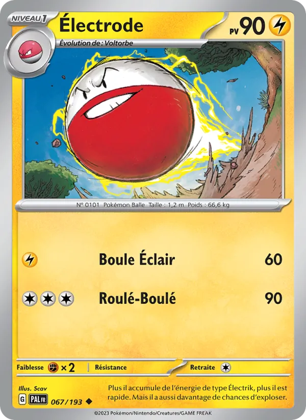 Electrode (PAL 067)