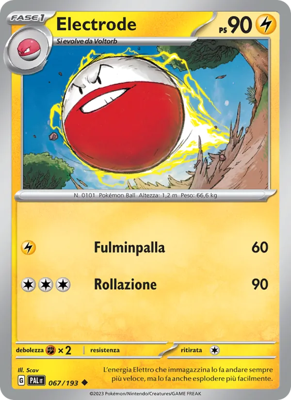 Electrode (PAL 067)