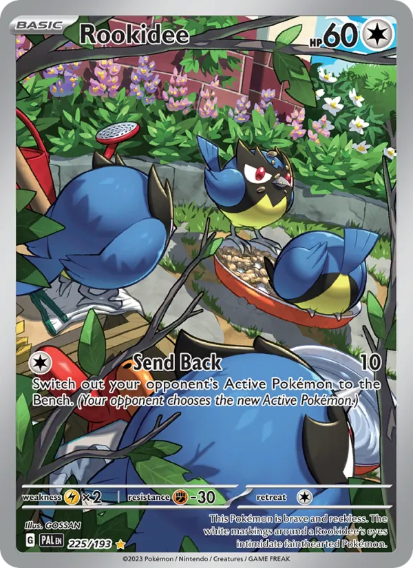 Rookidee (PAL 225)