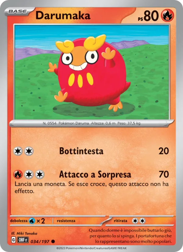 Darumaka (OBF 034)