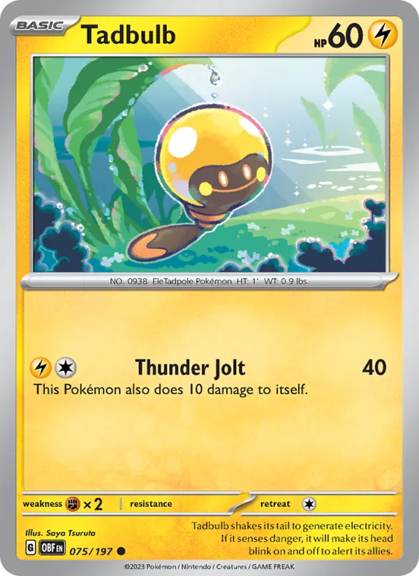 Tadbulb (OBF 075)