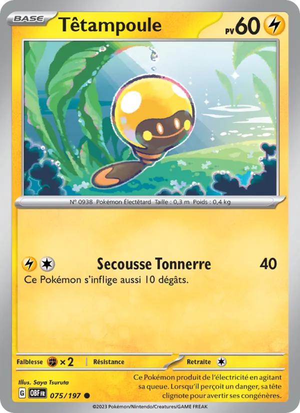 Tadbulb (OBF 075)