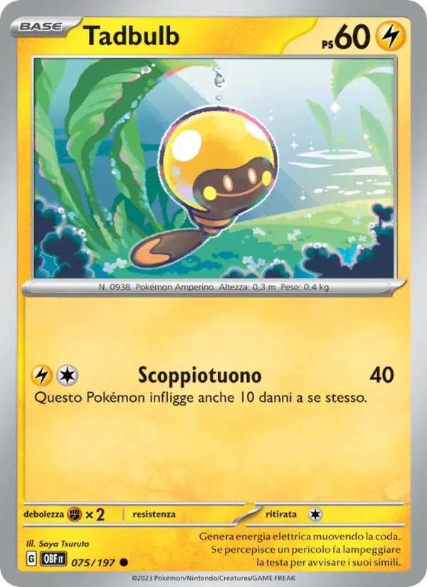 Tadbulb (OBF 075)