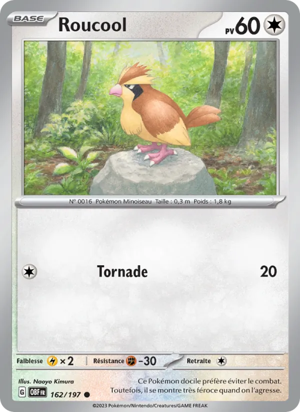 Pidgey (OBF 162)