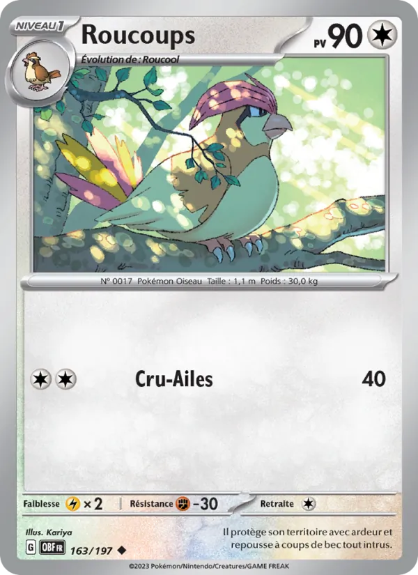 Pidgeotto (OBF 163)