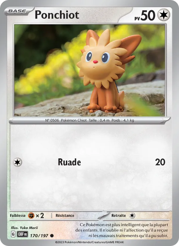 Lillipup (OBF 170)