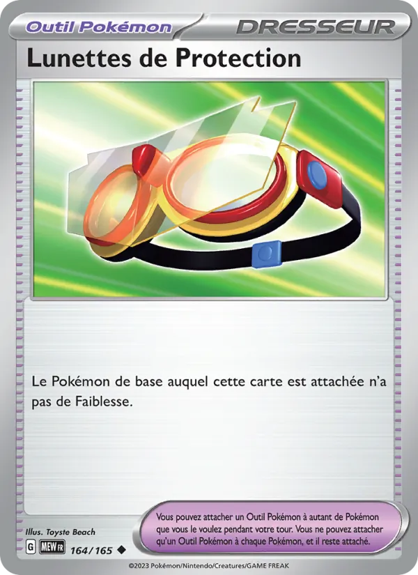 Protective Goggles (MEW 164)