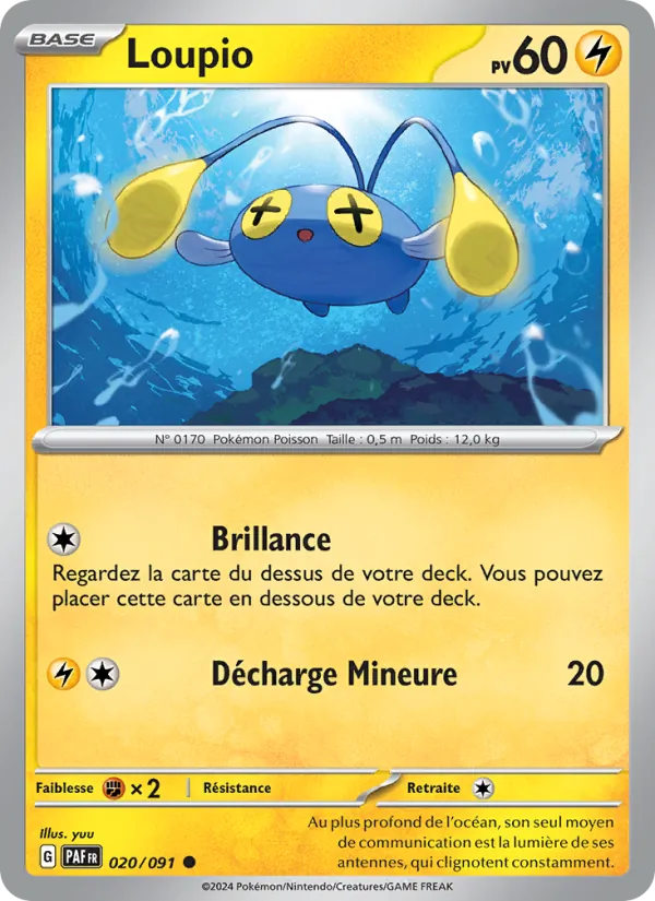 Chinchou (PAF 020)