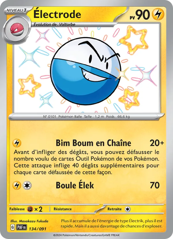 Electrode (PAF 134)
