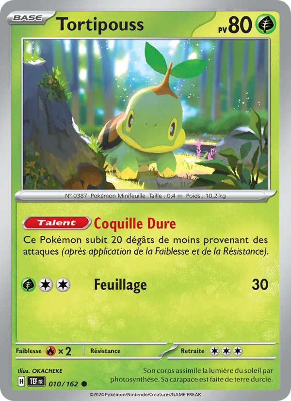 Turtwig (TEF 010)