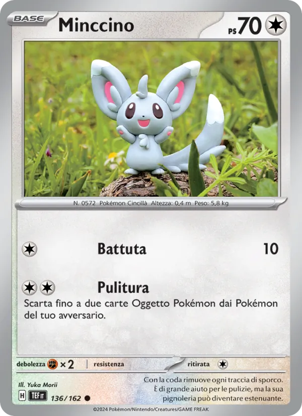 Minccino (TEF 136)