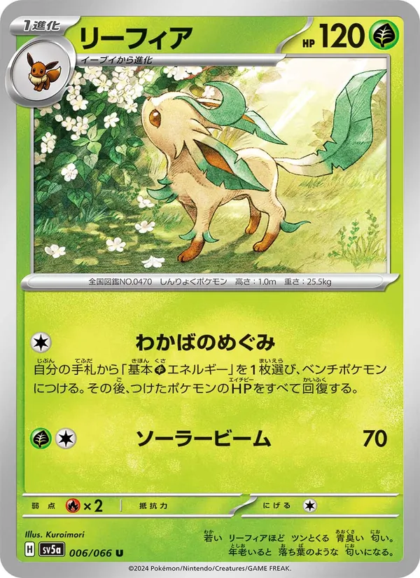 Folipurba (sv5a 006)