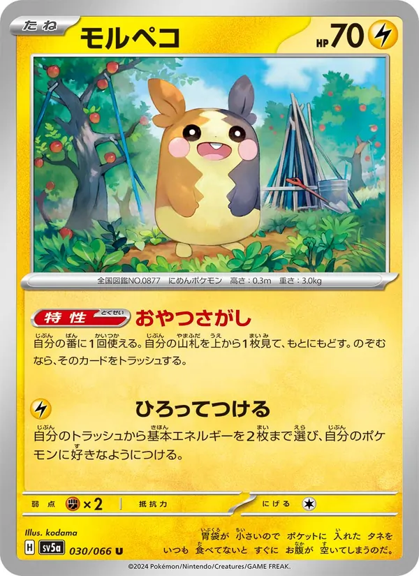 Morpeko (sv5a 030)