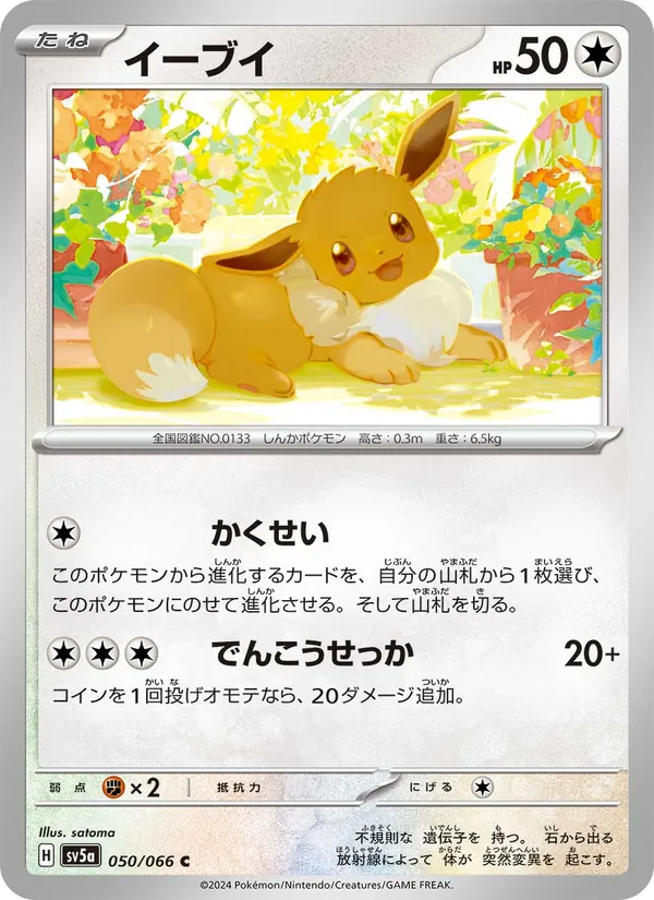 Evoli (sv5a 050)