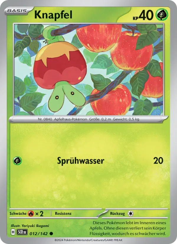 Knapfel (SCR 012)