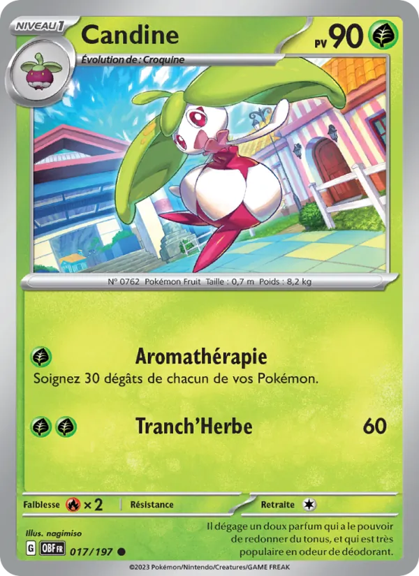 Steenee (OBF 017)