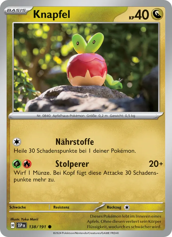 Knapfel (SSP 138)