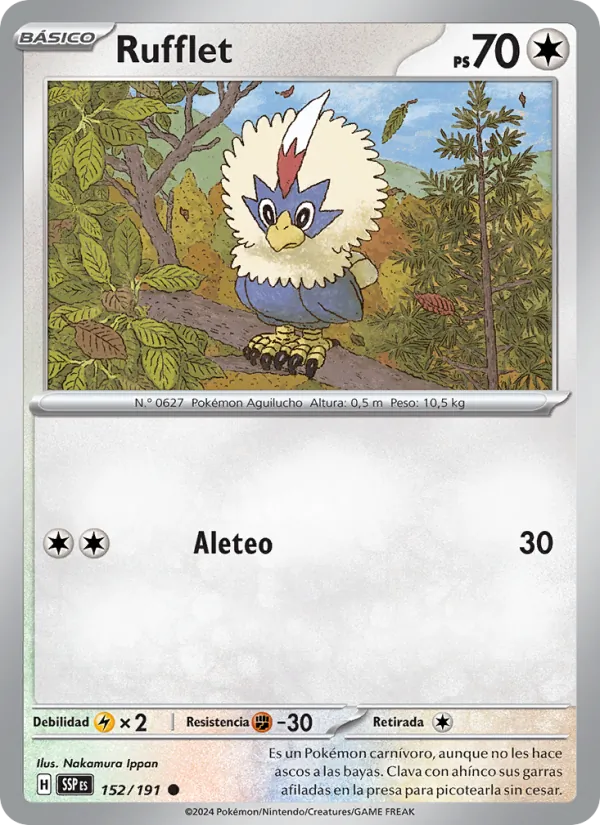 Rufflet (SSP 152)