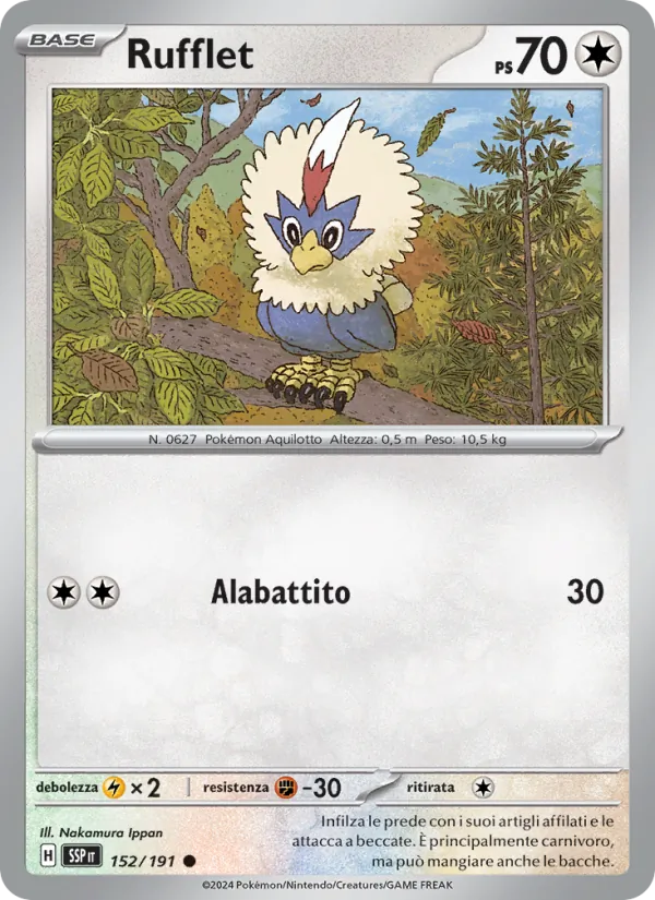 Rufflet (SSP 152)