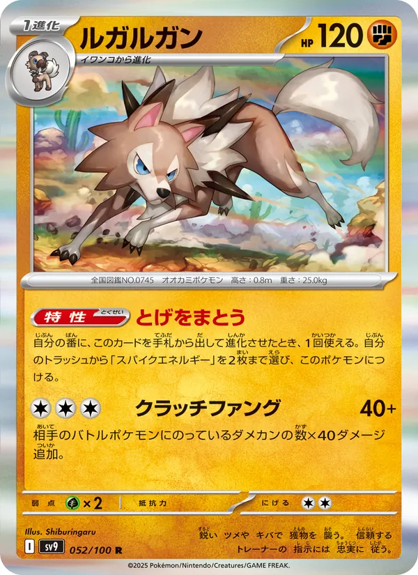 Wolwerock (sv9 052)