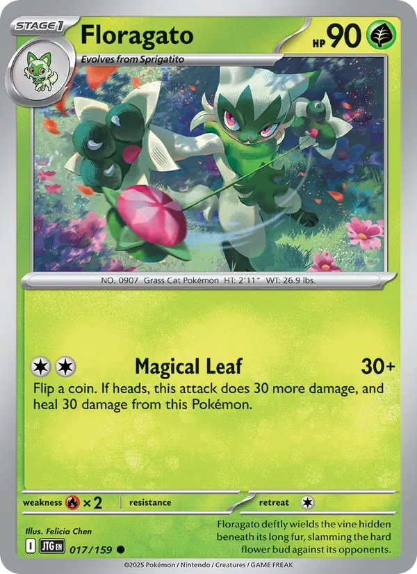 Floragato (JTG 017)
