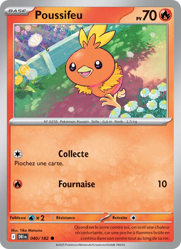 Torchic (DRI 040)
