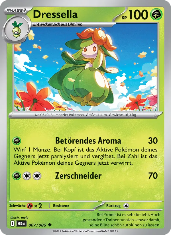 Dressella (BLK 007)
