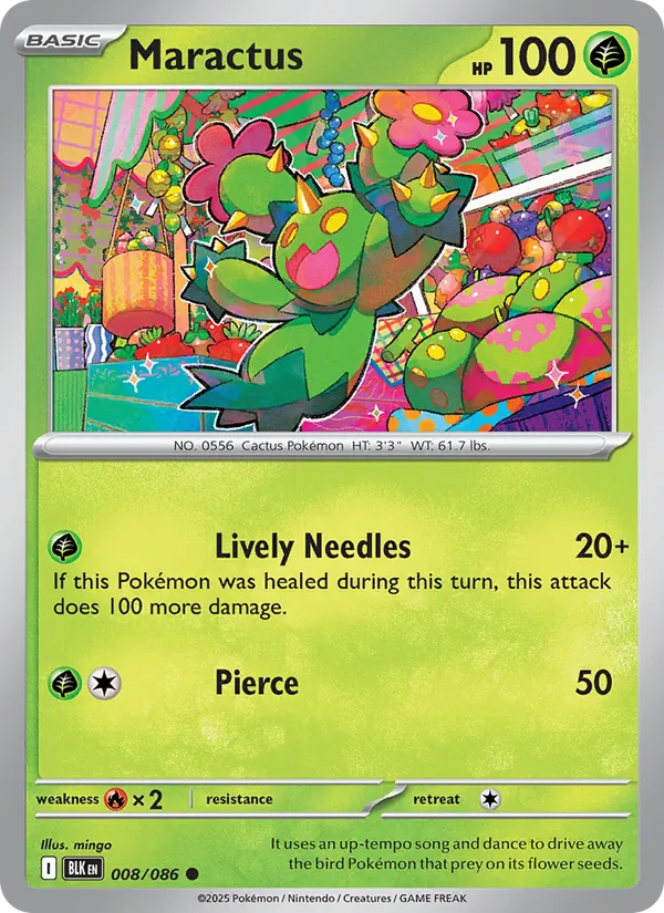Maractus (BLK 008)